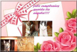 Feliz Cumplea Tia Querida