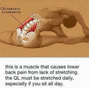 Muscle that causes Back pain