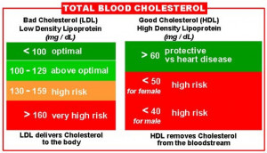 Best Home Remedies For High Blood Cholesterol