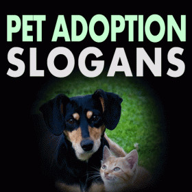 Pet Adoption slogans and sayings encourages people who want a pet to ...