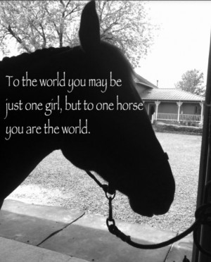 Horse Quote. Dewy. Quarter Horse.
