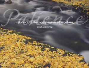 PATIENCE: COMPANION OF WISDOM