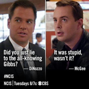 McGee: It was stupid, wasn't it? NCIS quotesGibbs Slap, Dinozzo Mcgee ...