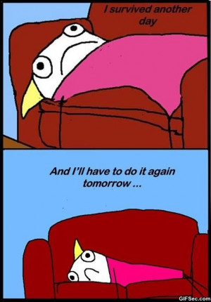 Funny Pictures – Im a true survivor - Funny Pictures, MEME and Funny ...