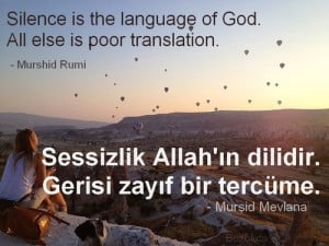 ... is poor translation. - Rumi Mevlana quote image: Peri Bacalari, Turkey