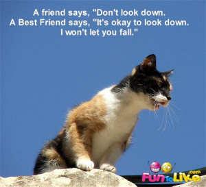 Good friendship quote: ” A friend says, “Don’t look down. A Best ...