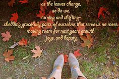... it that way more quotes funny seasons change quotes fall quotes quotes