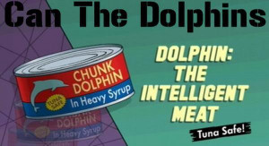 Miami Dolphins Final Score