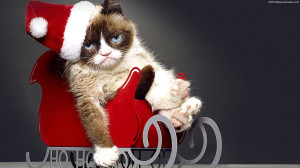 Grumpy Cats Christmas Images, Pictures, Photos, HD Wallpapers