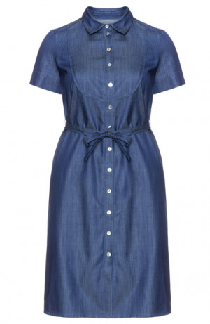 Plus Size Denim Shirt Dress