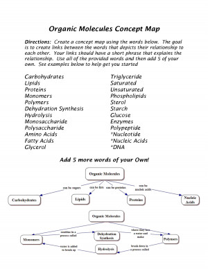 Organic Molecules Concept Map picture