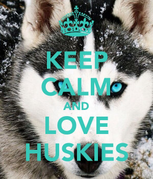 ... Dogs, Keep Calm And Love Husky, Siberian Husky, Animal Quotes, Calm