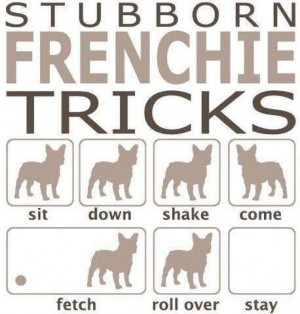 french bulldog tricks