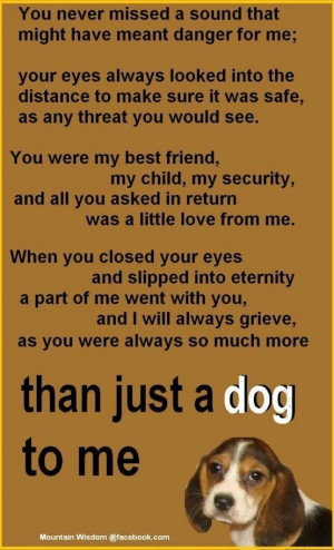 ... Miss My Dogs Quotes, Dogs Heavens, My Heart, So True, Love My Dogs