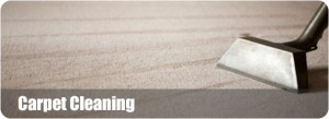 Receive Sensible CARPET CLEANING Quotes now.....
