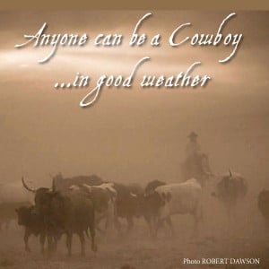 www.cowboyethics.org, Cowboy Ethics, Cowboys, Range, Weather