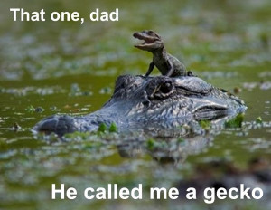 ... one dad – he called me a gecko – funny baby crocodile alligator