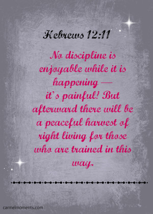 Hebrews 12:11 NLT No discipline is enjoyable while it is happening ...
