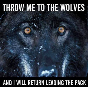 wolf courage