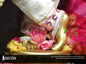 Lotus Feet Of Sri Krishna Chandr
