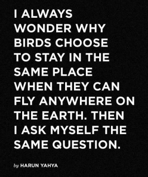 ... Can Fly Anywhere On The Earth. Then I Ask Myself The Same Question