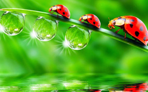 Motivational Quotes for Students, Teachers and Employees