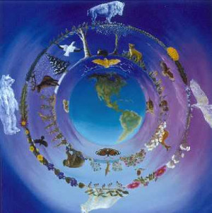 Native American Cosmology