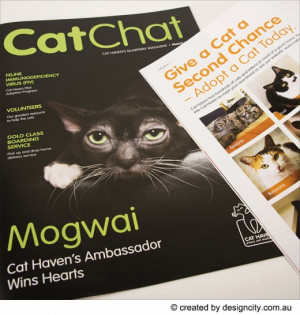 cover of Cat Chat magazine Inside spread for Chat Chat A pull quote ...