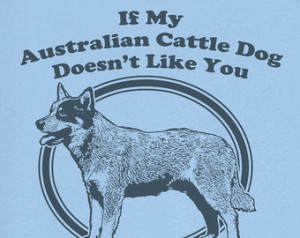 ... Australian Cattle Dog Doesn't Like You... Funny Novelty T Shirt Z13014