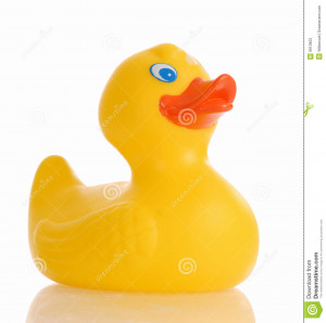 Rubber Duck With Reflection