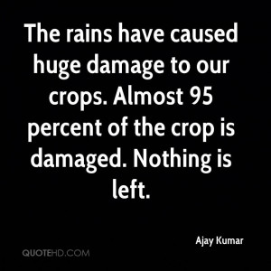 ... our crops. Almost 95 percent of the crop is damaged. Nothing is left