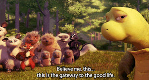 tags: over the hedge movie gif quotes movie gifs movie quotes