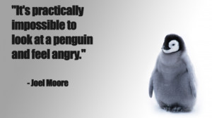 you are looking for to express your feelings about penguins