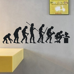 ... quotes-wall-paper-poster-for-kidsroom-Human-Being-Evolution-Darwinism