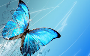 Butterfly Wallpaper