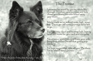 ve kept my promise... Will you?