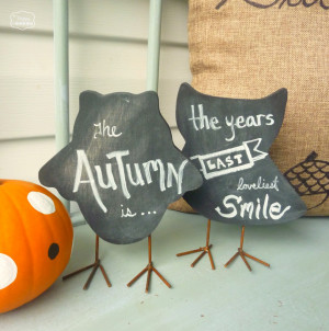 Nothin’ Says Fall like Mums, Chalkboards, and Polka Dotted Pumpkins