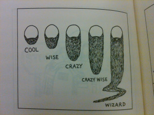 beard size lenght cool wise crazy wizard