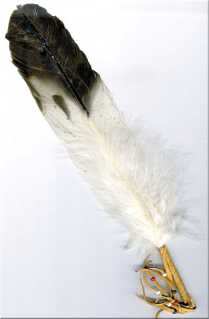 imitation-eagle-smudging-feather.jpg