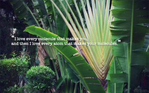 love every molecule that makes you, and then i love every atom that ...