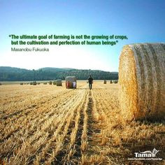 ... of human beings farm hay farms farm agricultur agricultur quot