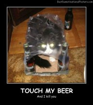 Touch My Beer Best Demotivational Posters