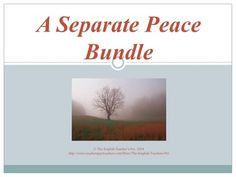 from teachers pay teachers a separate peace novel unit bundle