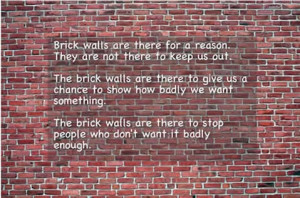 Randy Paush (1960 – 2008)