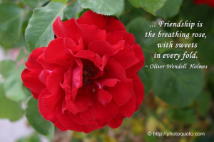 Sayings, Quotes: Oliver Wendell Holmes