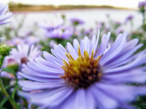 When We Fail To Set Boundaries And Hold People Accountable We Feel