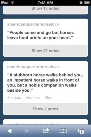 Equestrian quotes