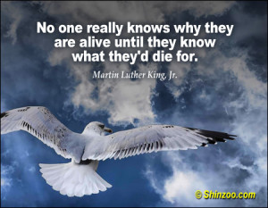 Top 28 Motivational Martin Luther King Quotes You May Never Have Heard ...