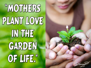 Download Kdhowoyyk Cute Love Quotes And Sayings Emo Quote