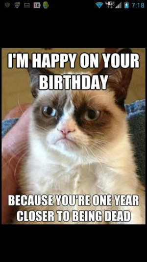 happy birthday grumpy cat meme grumpy cat